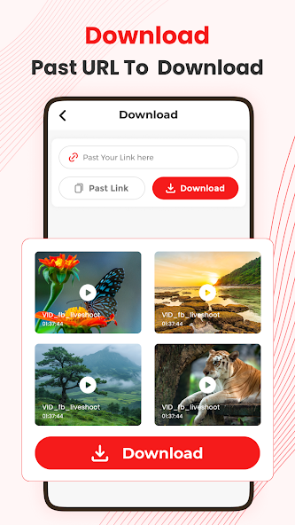 All Video Downloader & Home download screen showing a link input field and a list of detected videos